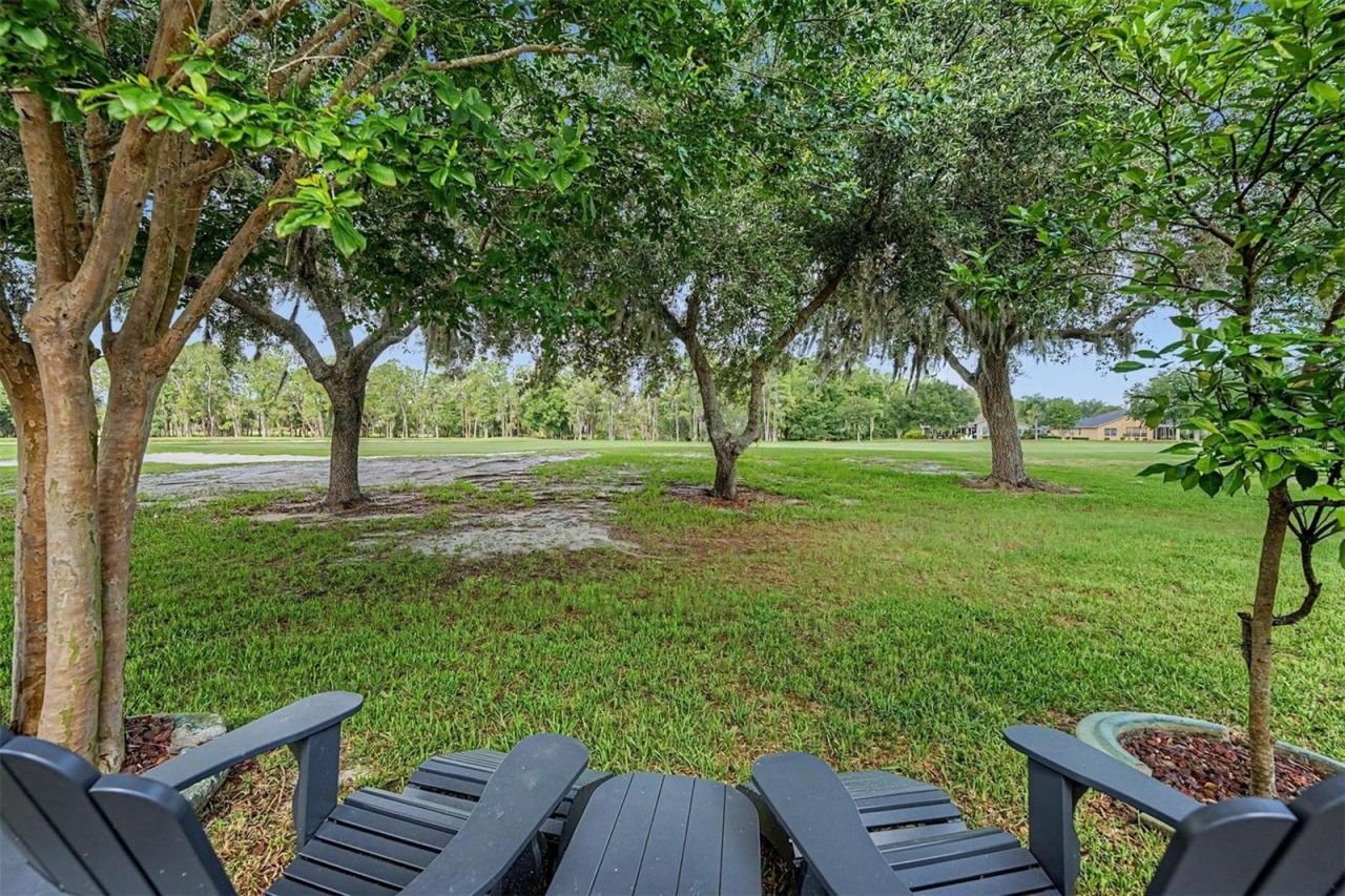 1331 Trimaran Place, Trinity, FL 34655 Photo