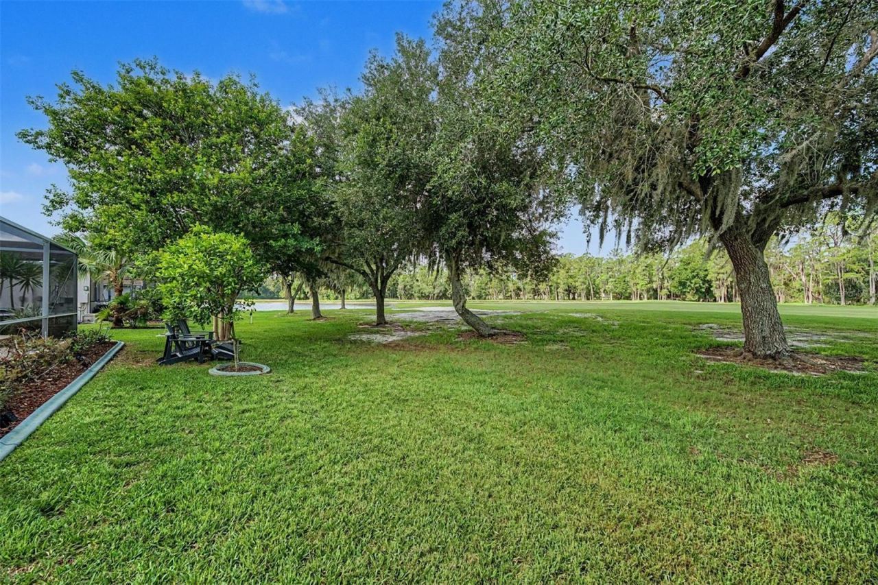 1331 Trimaran Place, Trinity, FL 34655 Photo