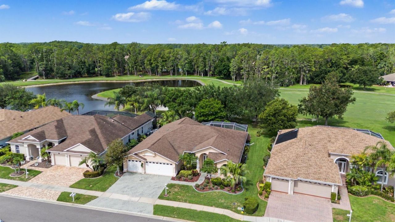 1331 Trimaran Place , Trinity, FL 34655 Photo