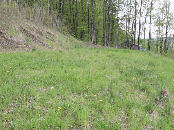 9 Maplewood Avenue, Unit Lot #9, Barre City, VT 05641