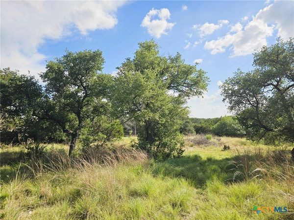 100 Reavis Drive Drive, Kempner, TX 76539