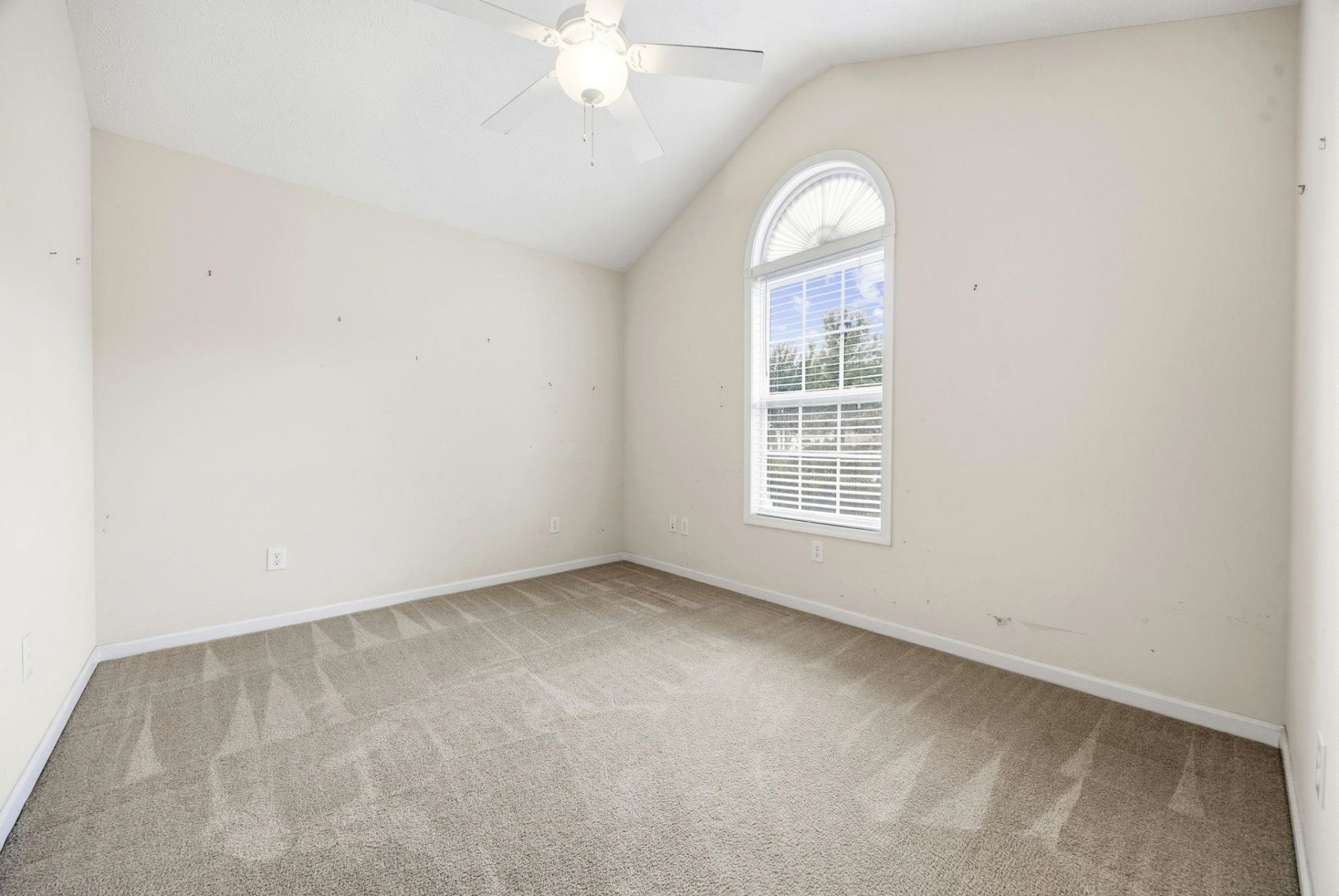 3146 Shorecrest Bay Dr.  Photo 19