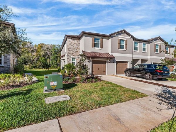 17514 NECTAR FLUME DRIVE , LAND O LAKES, FL 34638