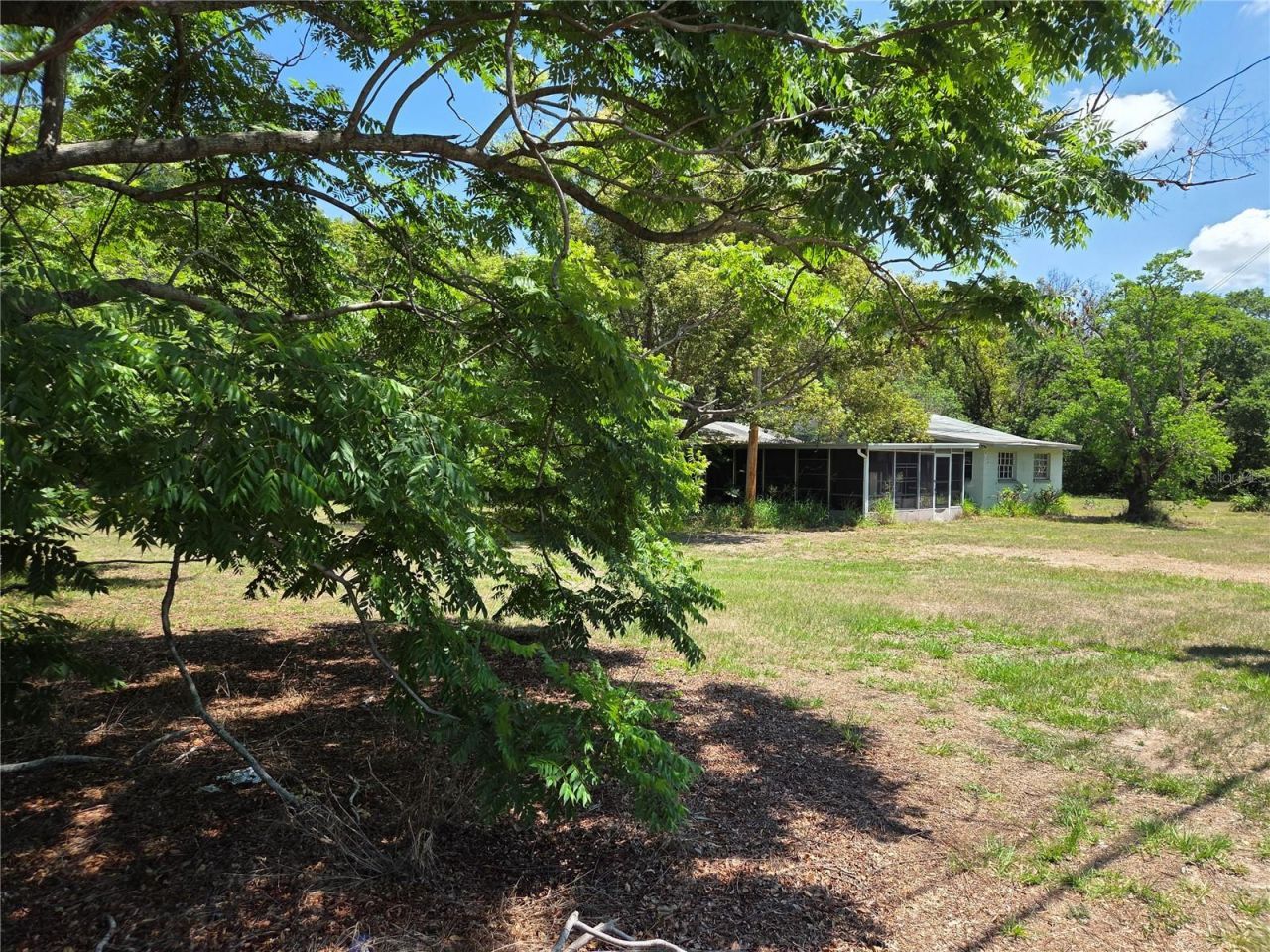 3810 E Lumsden Road, Valrico, FL 33594 Photo