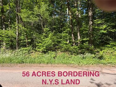 1142 Barkaboom Road , Andes, NY 13731