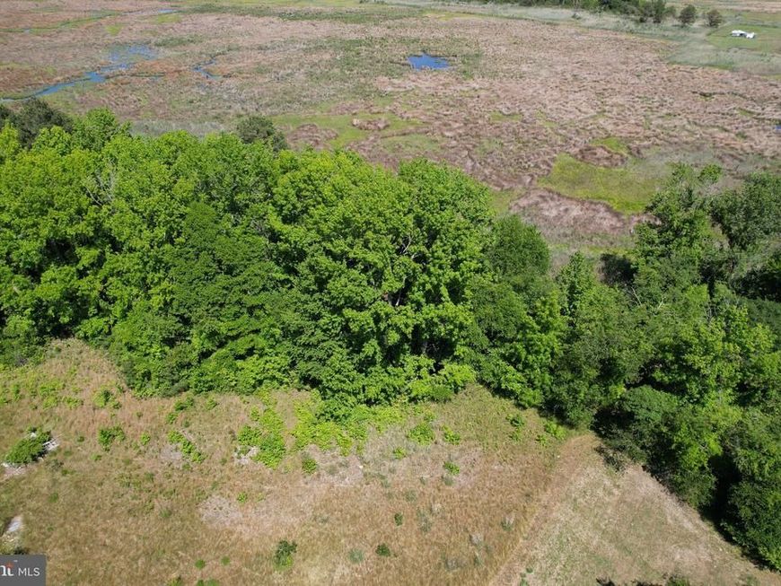 Parcel 228 Fishhook Lane , Deal Island, MD 21821 Main Photo