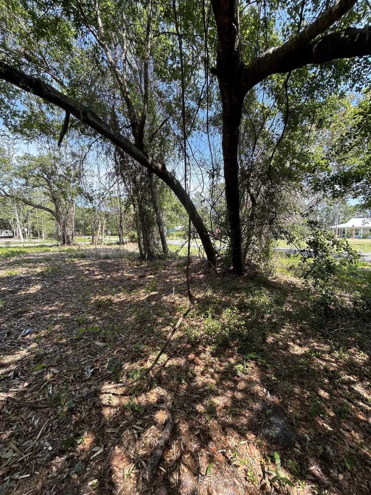 2531 Franklin Street, Lanark, FL 32323 Photo