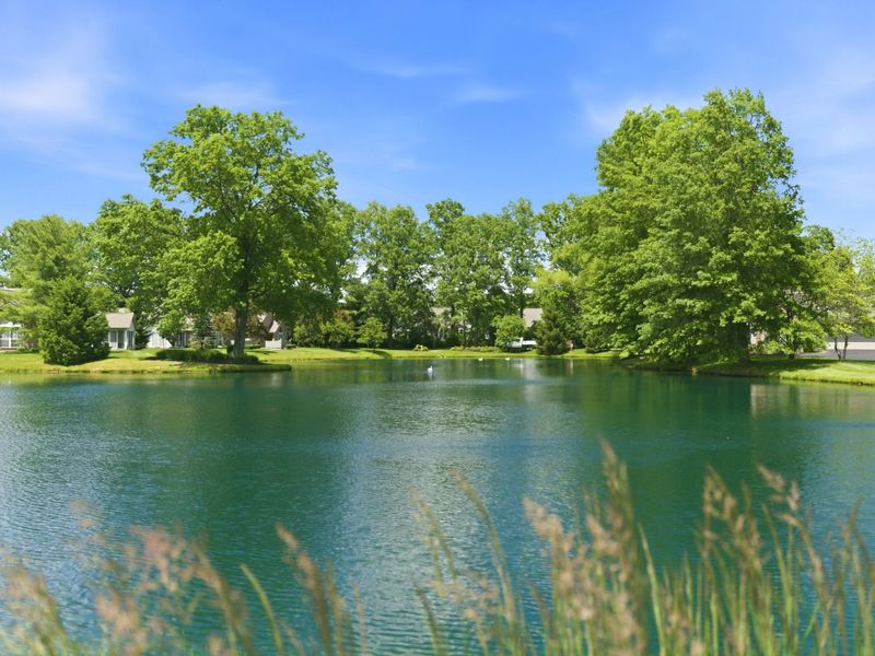 6069 Blendon Chase Drive, Unit 17, Westerville, OH 43081 Photo 32