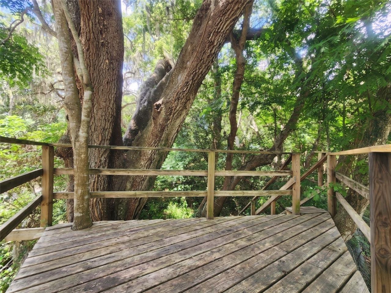 1985 NE 97th Streed Road, Anthony, FL 32617 Photo