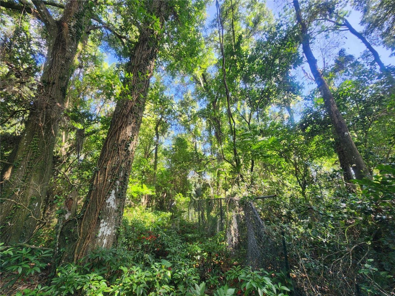 1985 NE 97th Streed Road, Anthony, FL 32617 Photo