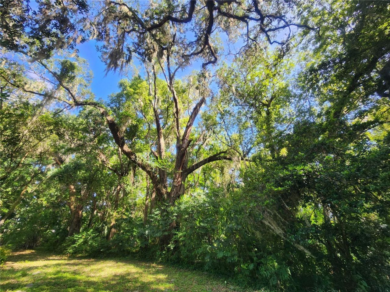 1985 NE 97th Streed Road, Anthony, FL 32617 Photo