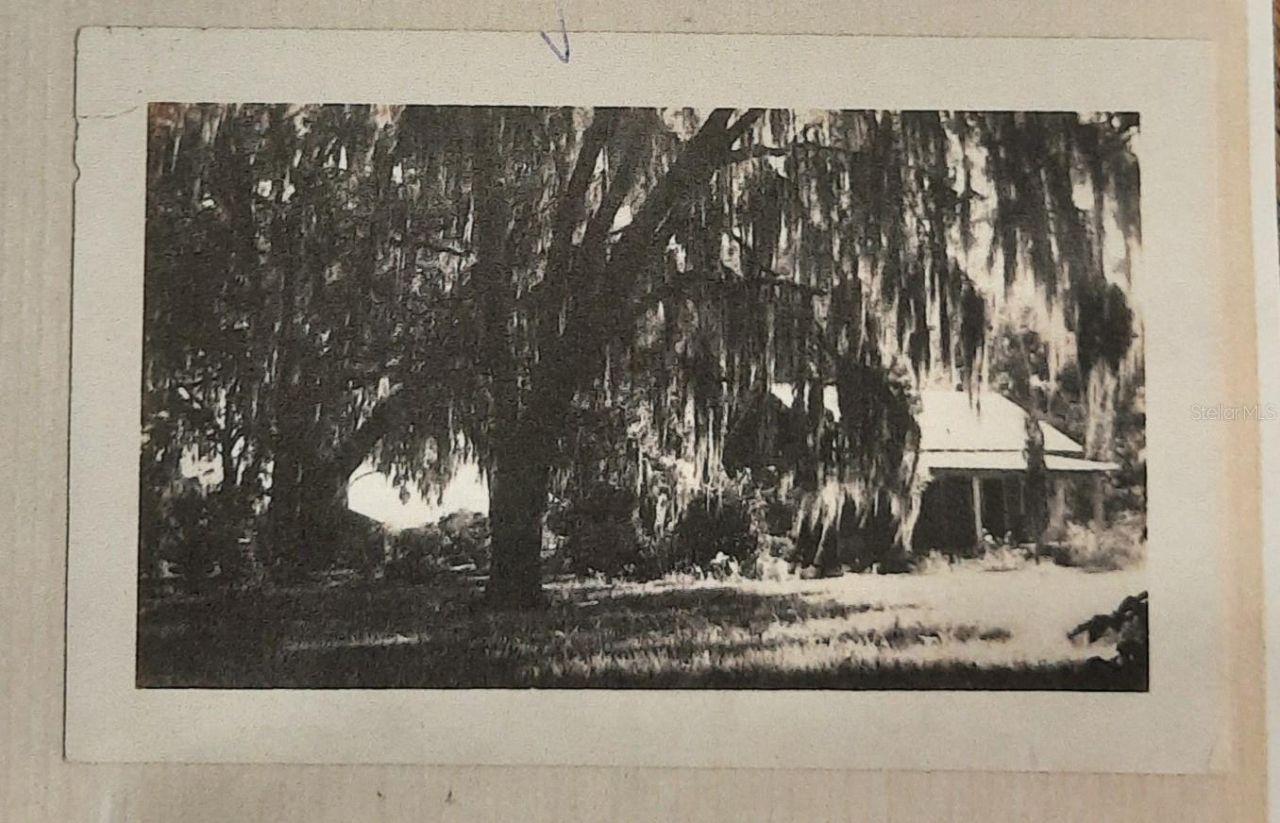 1985 NE 97th Streed Road, Anthony, FL 32617 Photo