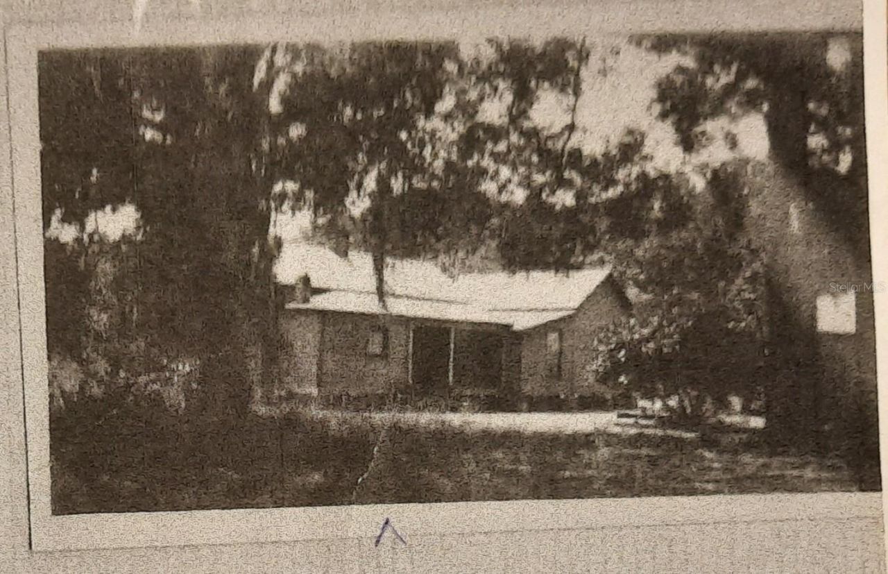 1985 NE 97th Streed Road, Anthony, FL 32617 Photo