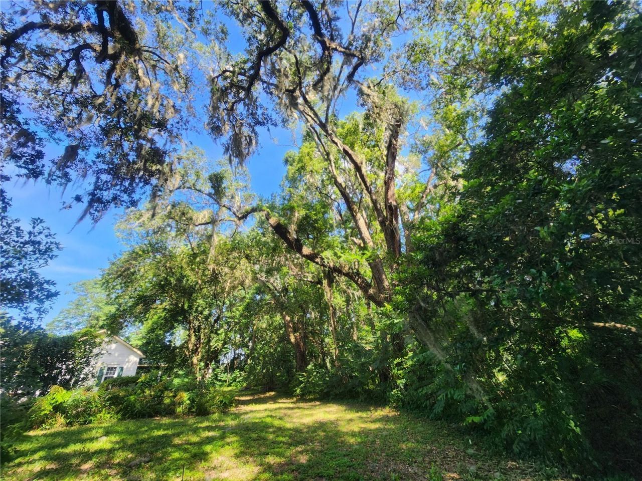 1985 NE 97th Streed Road, Anthony, FL 32617 Photo