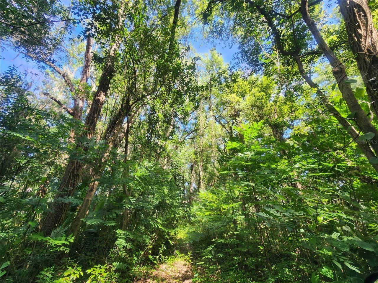 1985 NE 97th Streed Road, Anthony, FL 32617 Photo