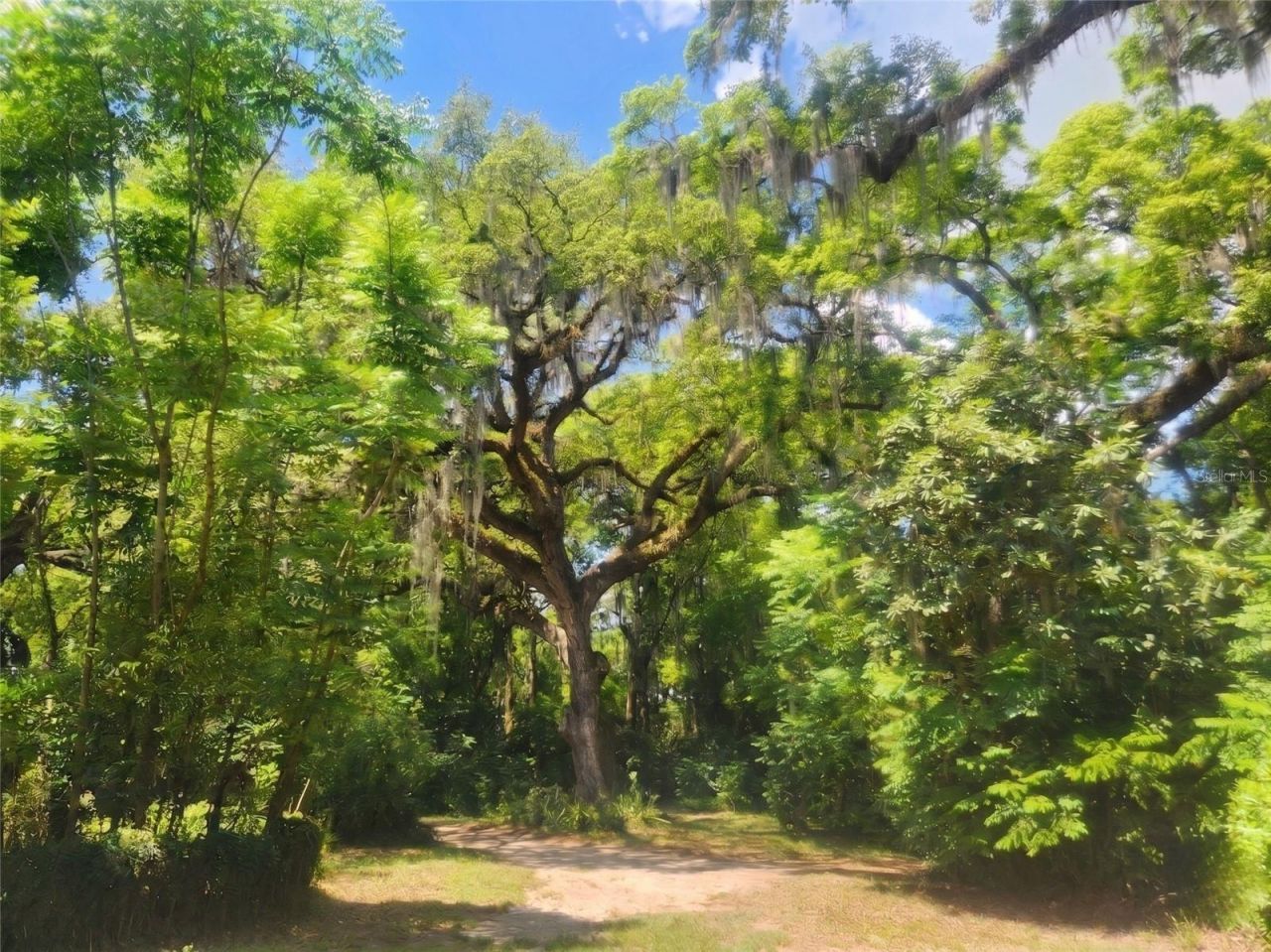 1985 NE 97th Streed Road, Anthony, FL 32617 Photo