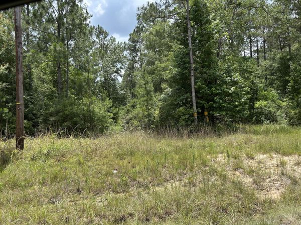 Hwy 389, Merryville, LA 70653