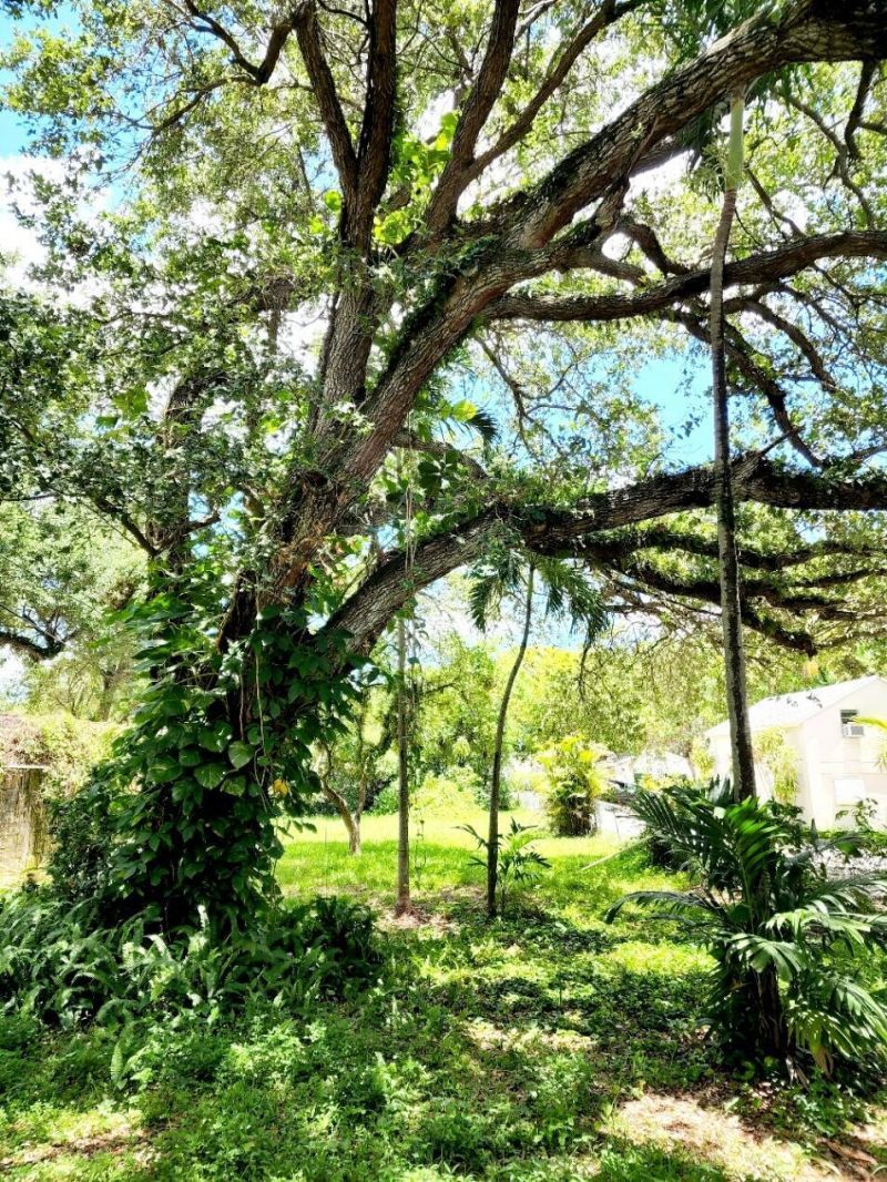 4124 N 32nd Court, Hollywood, FL 33021 Photo