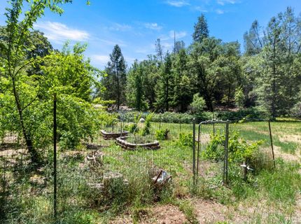 1144 Boole Rd, Applegate, CA 95703 Photo