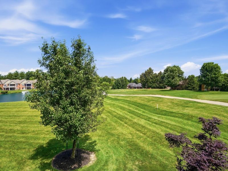 1022 Belmont Park, Union, KY 41091 Photo 41