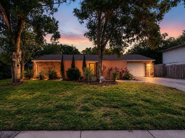 8235 VASSAR CIRCLE , TAMPA, FL 33634