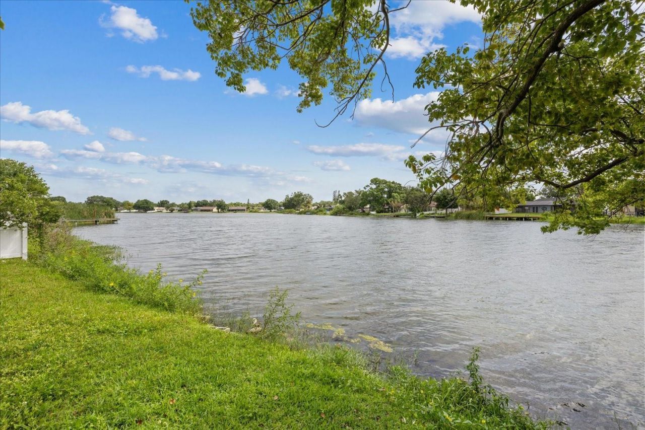 10609 Out Island Drive, Tampa, FL 33615 Photo