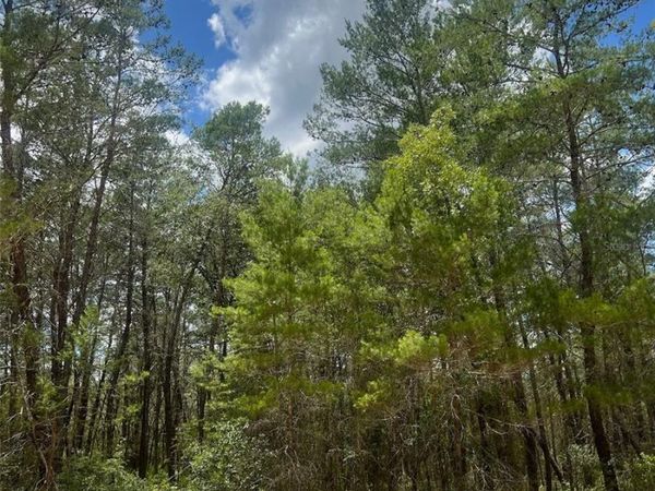 NEILSON AVE , INTERLACHEN, FL 32148