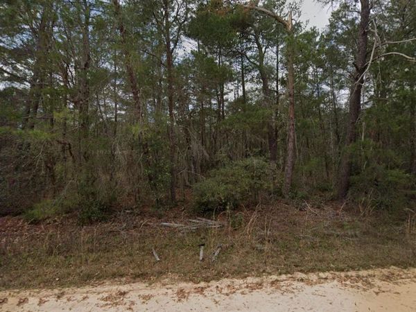 NEILSON AVE , INTERLACHEN, FL 32148