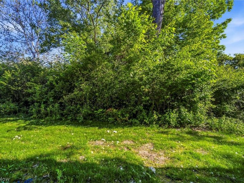 684 Pine Spring Drive, Painesville Township, OH 44077 Photo 28