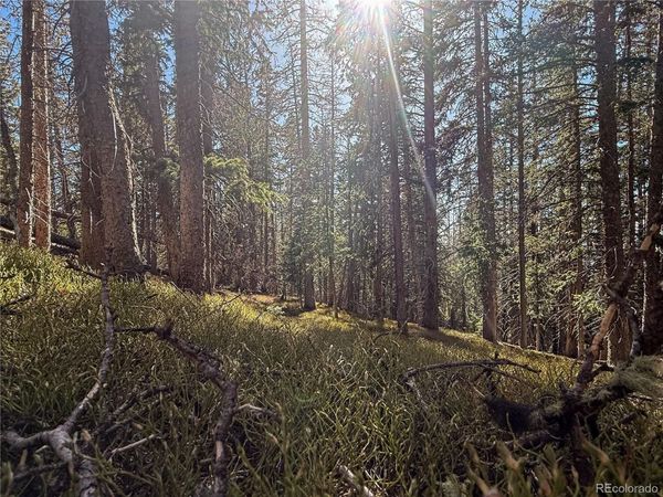 LOT 6530 Schluetter Road , Fort Garland, CO 81133