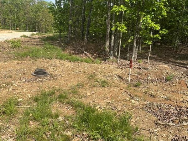 7 CR 4180, Salem, MO 65560