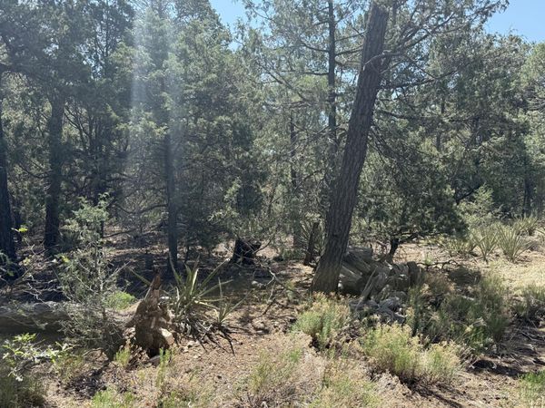 17 Andromeda Lane, Tijeras, NM 87059
