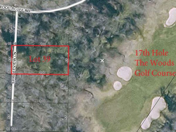 39 Spruceview LN, Mackinac Island, MI 49757