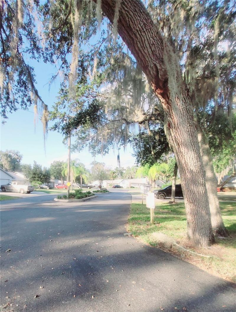 410 Landing Boulevard , Unit 1, Inverness, FL 34450 Photo