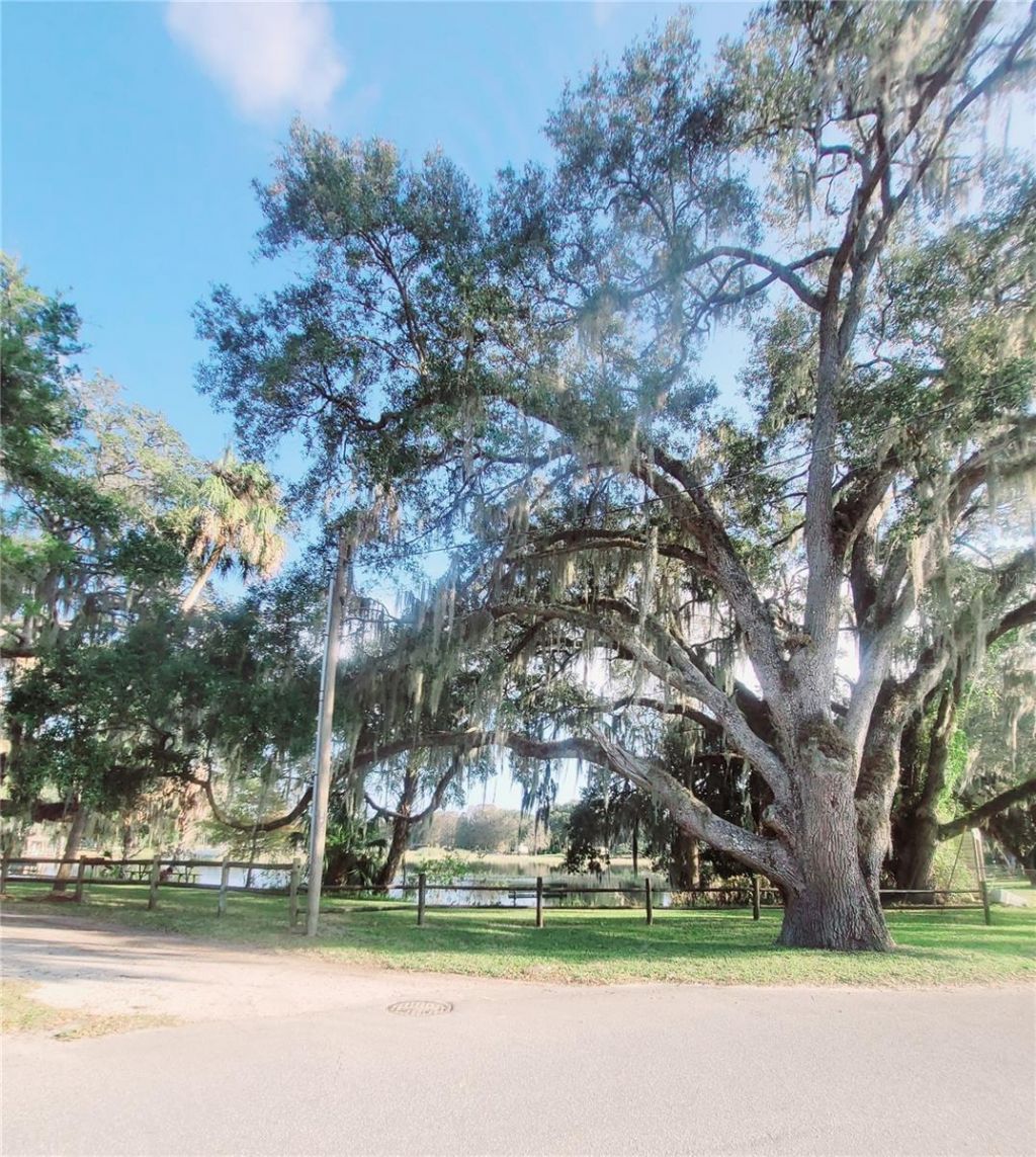 410 Landing Boulevard , Unit 1, Inverness, FL 34450 Photo