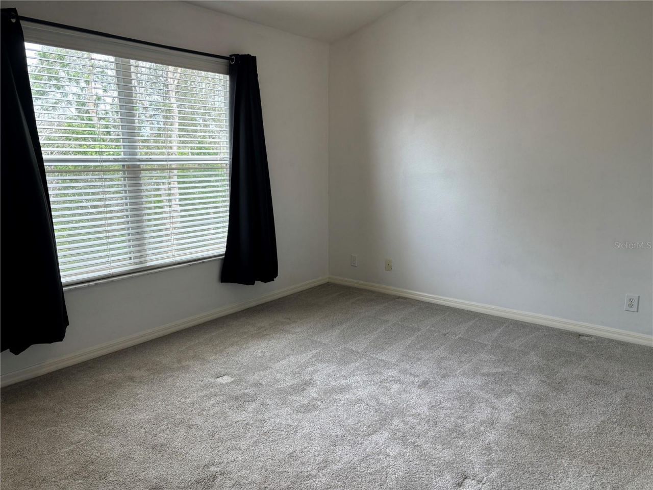 624 Black Lion Drive Ne, Saint Petersburg, FL 33716 Photo