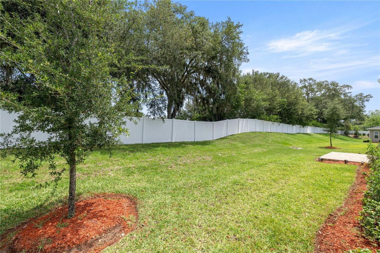 10367 Addison Shore Way, Oxford, FL 34484 Photo