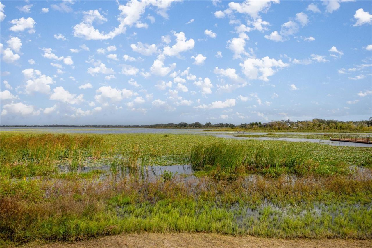 10367 Addison Shore Way, Oxford, FL 34484 Photo