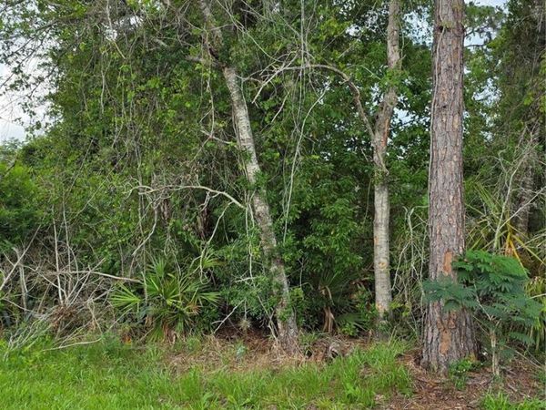 3227 URMEY AVENUE, DELTONA, FL 32738