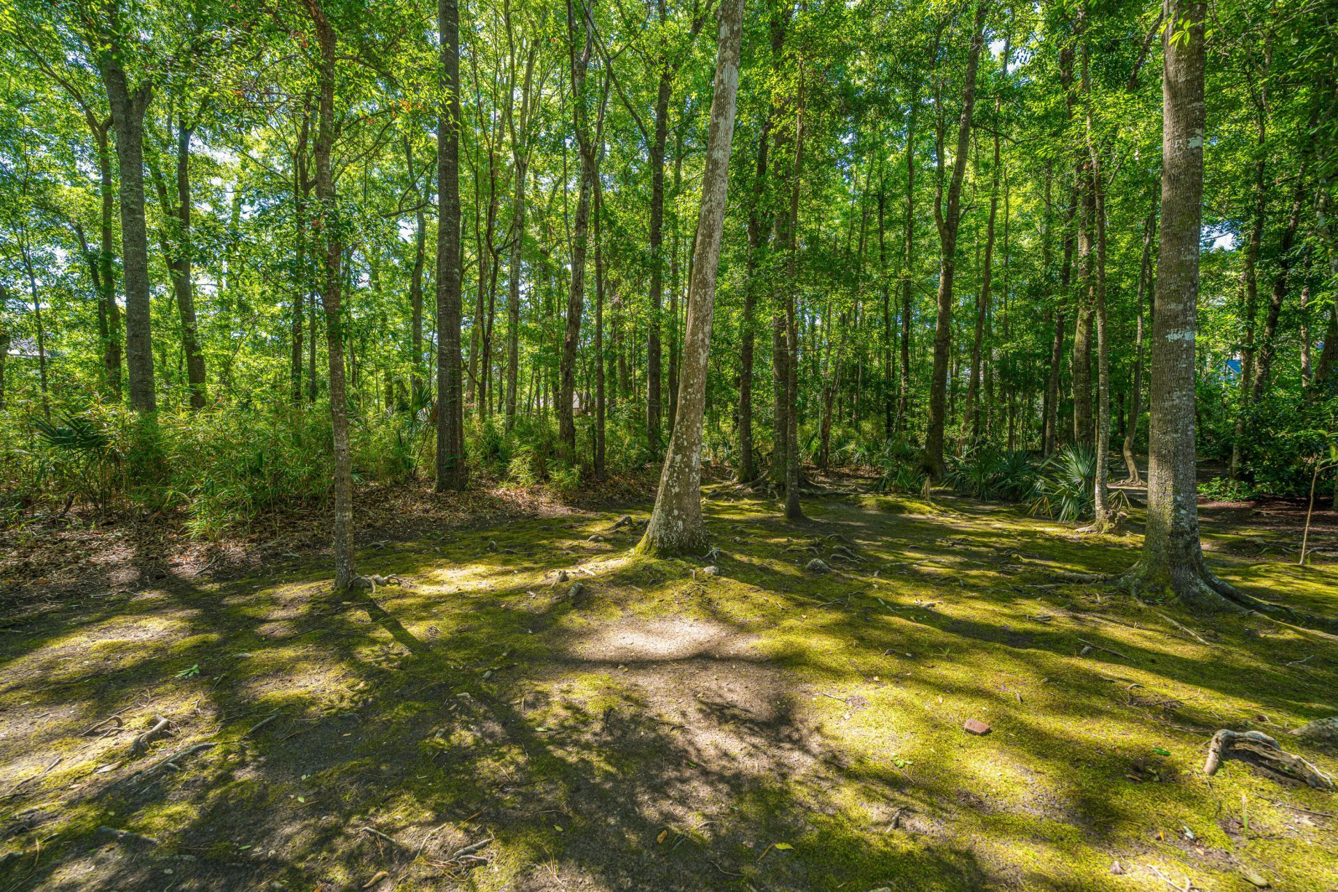 2801 Rosedown Point Photo 48