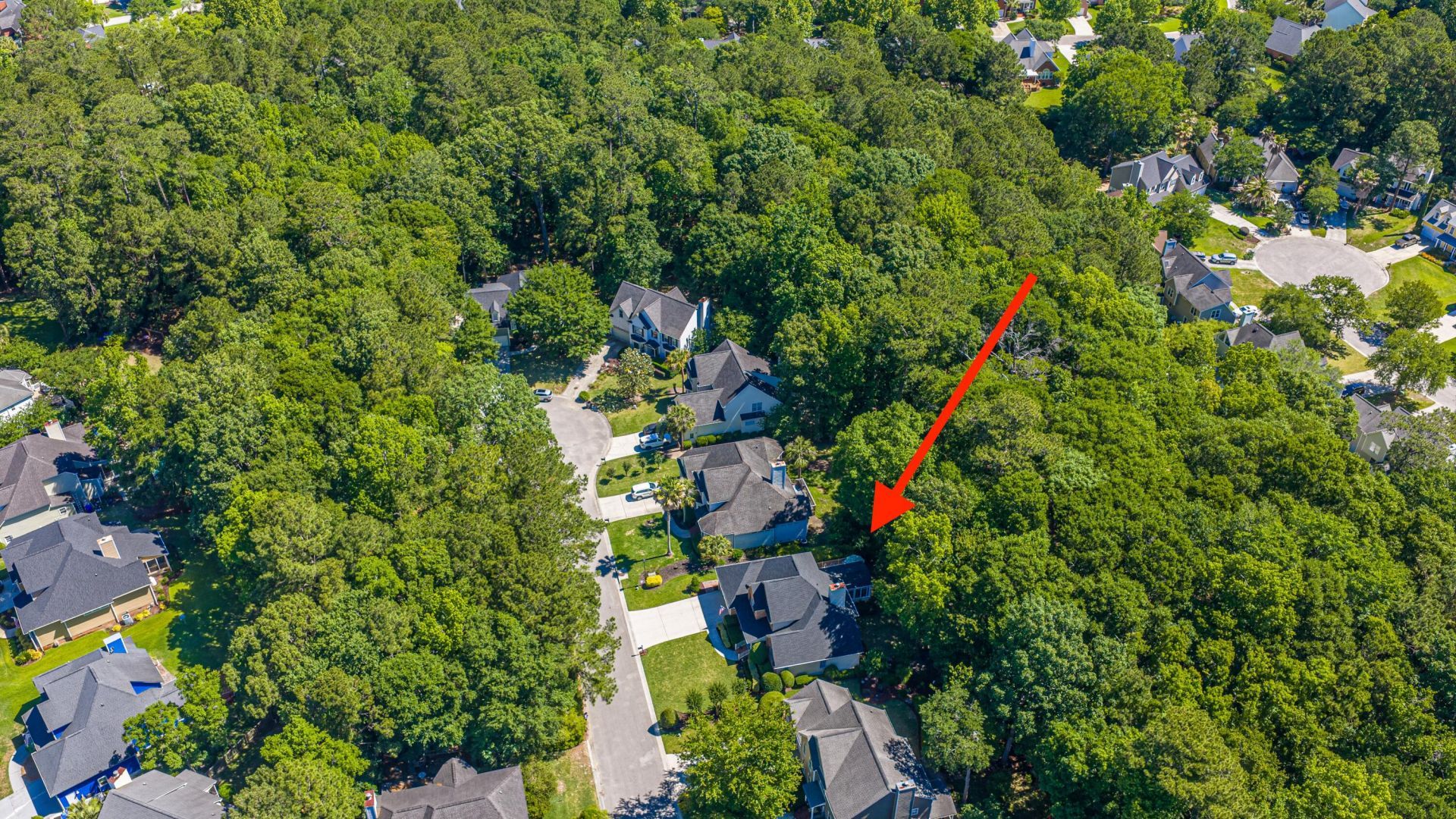 2801 Rosedown Point Photo 52