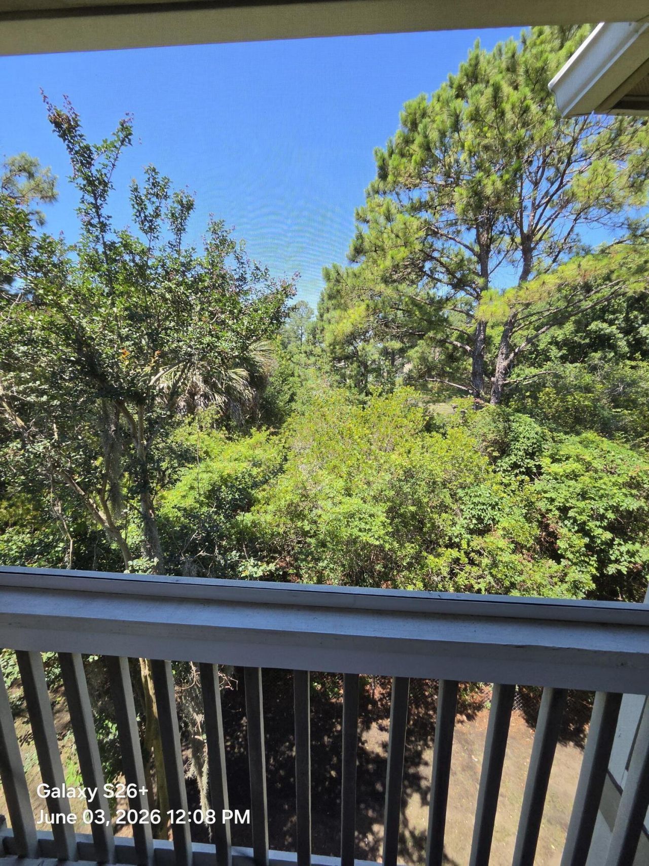 1600 Long Grove Drive Photo 12