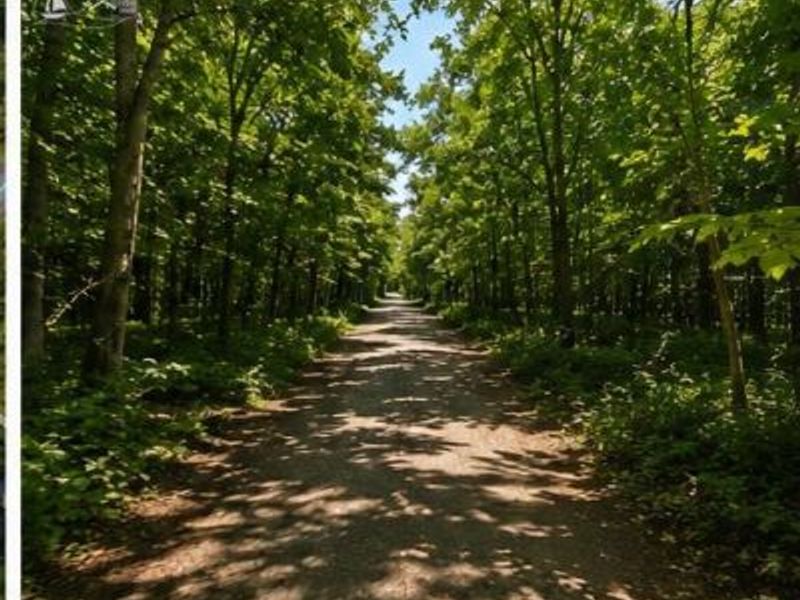 0 Decatur, Put in Bay, OH 43456 Photo 6