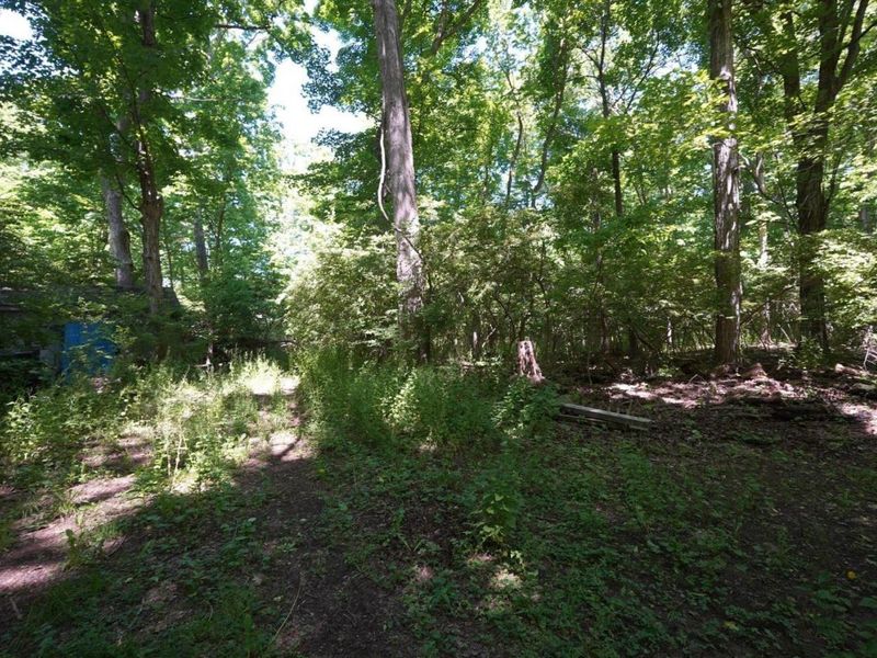 0 Decatur, Put in Bay, OH 43456 Photo 9