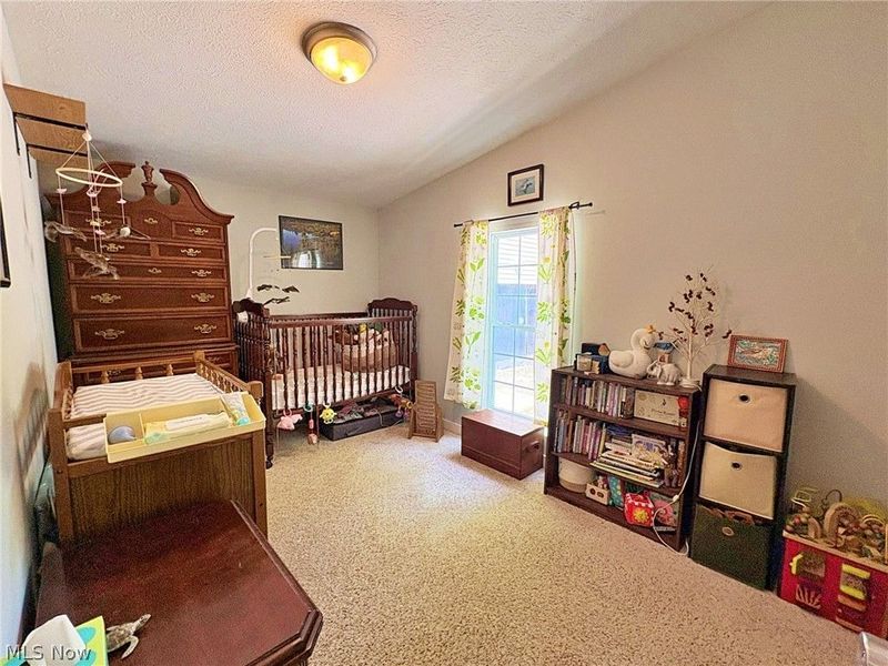 4233 County Line Road, Diamond, OH 44412 Photo 22