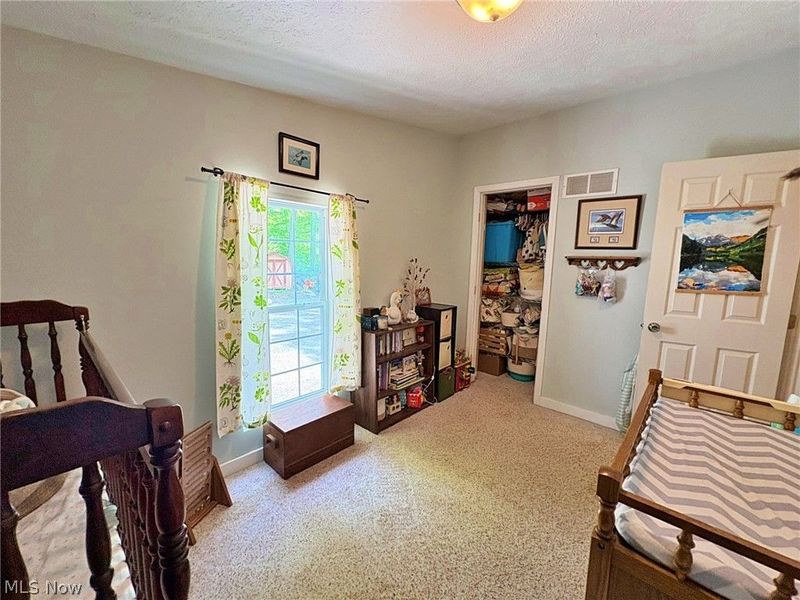 4233 County Line Road, Diamond, OH 44412 Photo 23