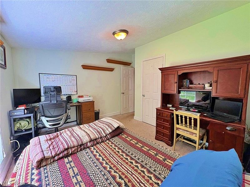 4233 County Line Road, Diamond, OH 44412 Photo 25