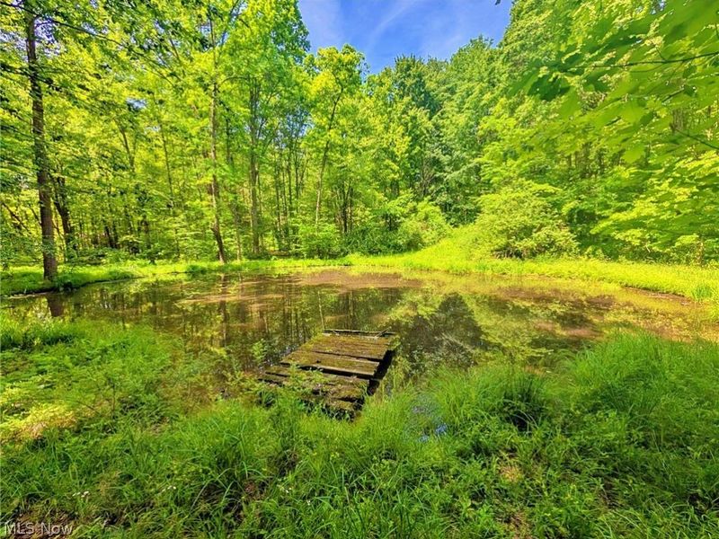 4233 County Line Road, Diamond, OH 44412 Photo 38