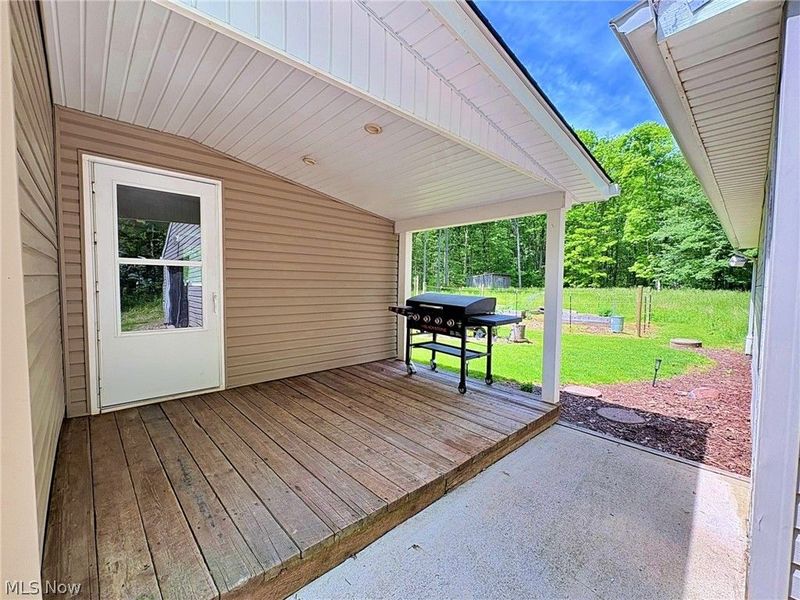 4233 County Line Road, Diamond, OH 44412 Photo 8