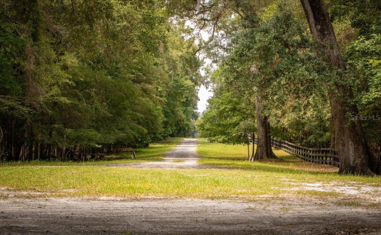 Tbd SW Bluebird Court, Fort White, FL 32038 Photo